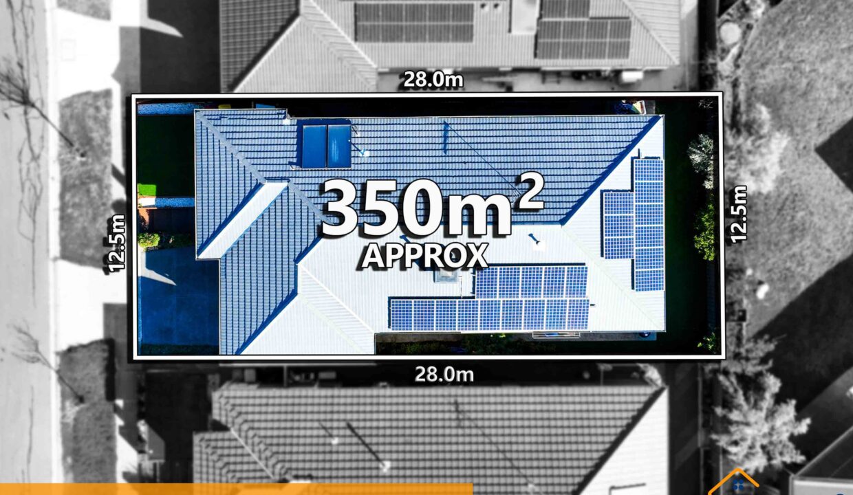 151984541__1750221891-66648-21