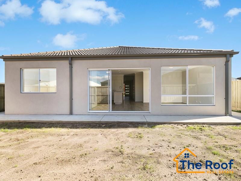 152974756__1750905463-152974756__1750905436-55107-GetFile41