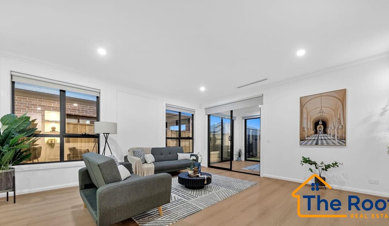 155300328__1752464372-155300328__1752464301-59168-image19