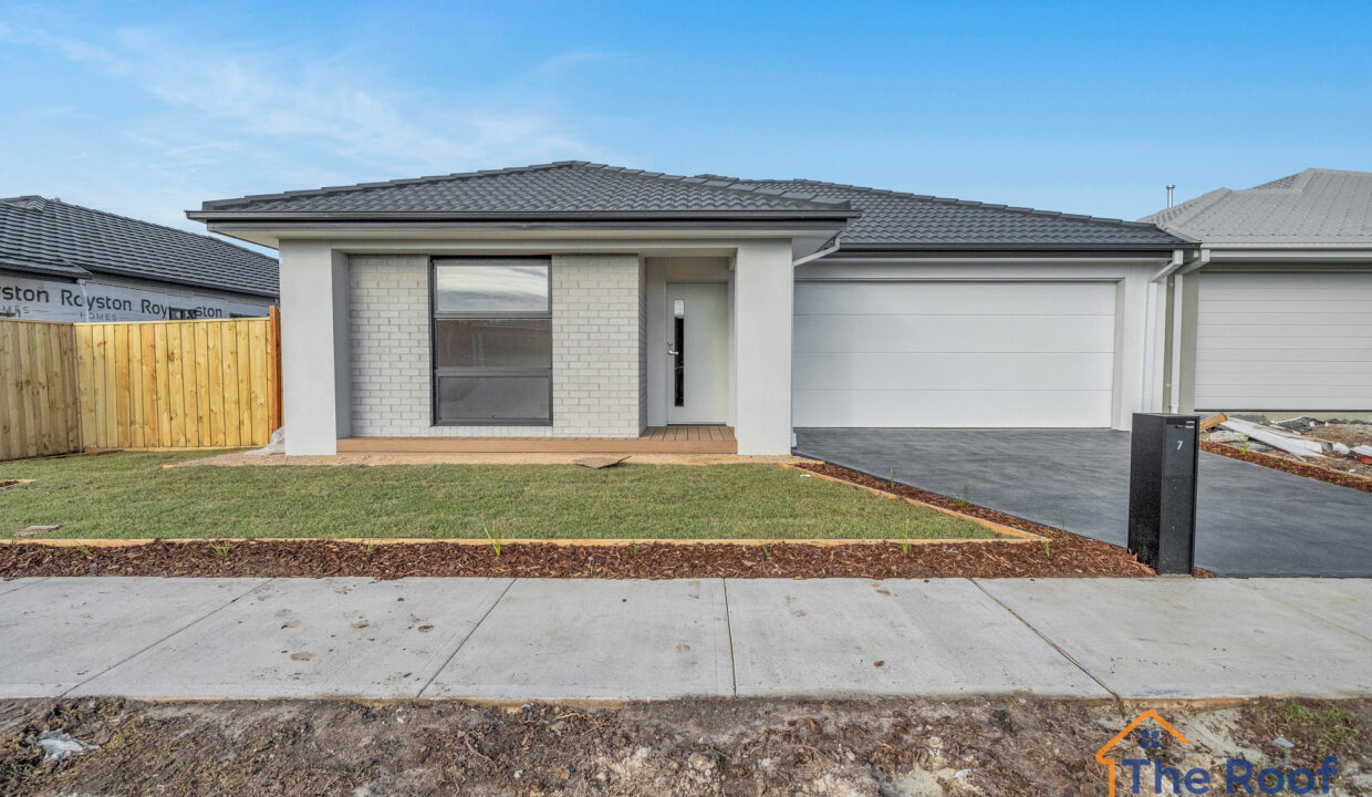 155869429__1752740134-88317-101