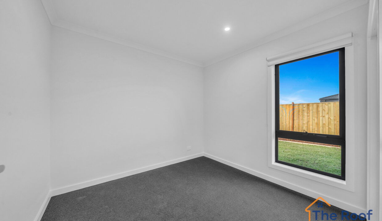 155869457__1752740144-88442-081