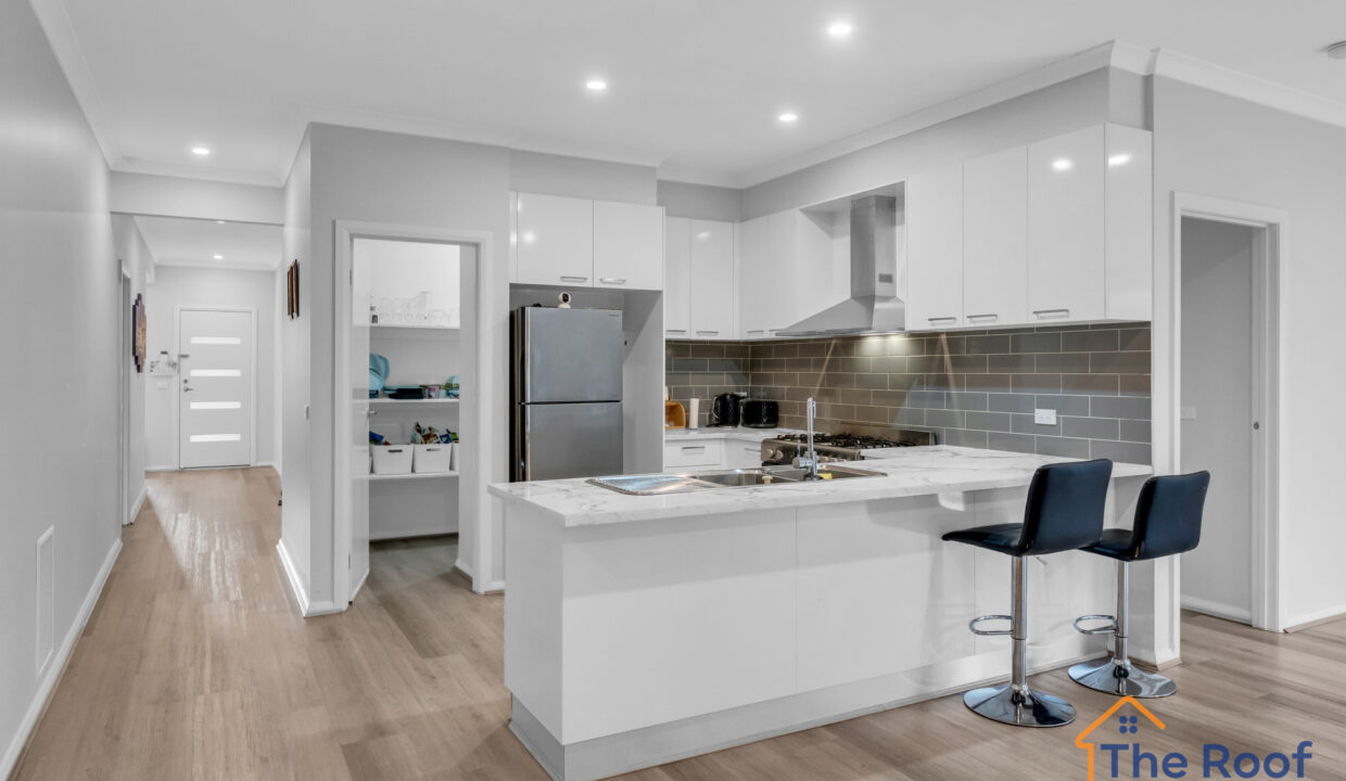 156011841__1752823429-88092-08