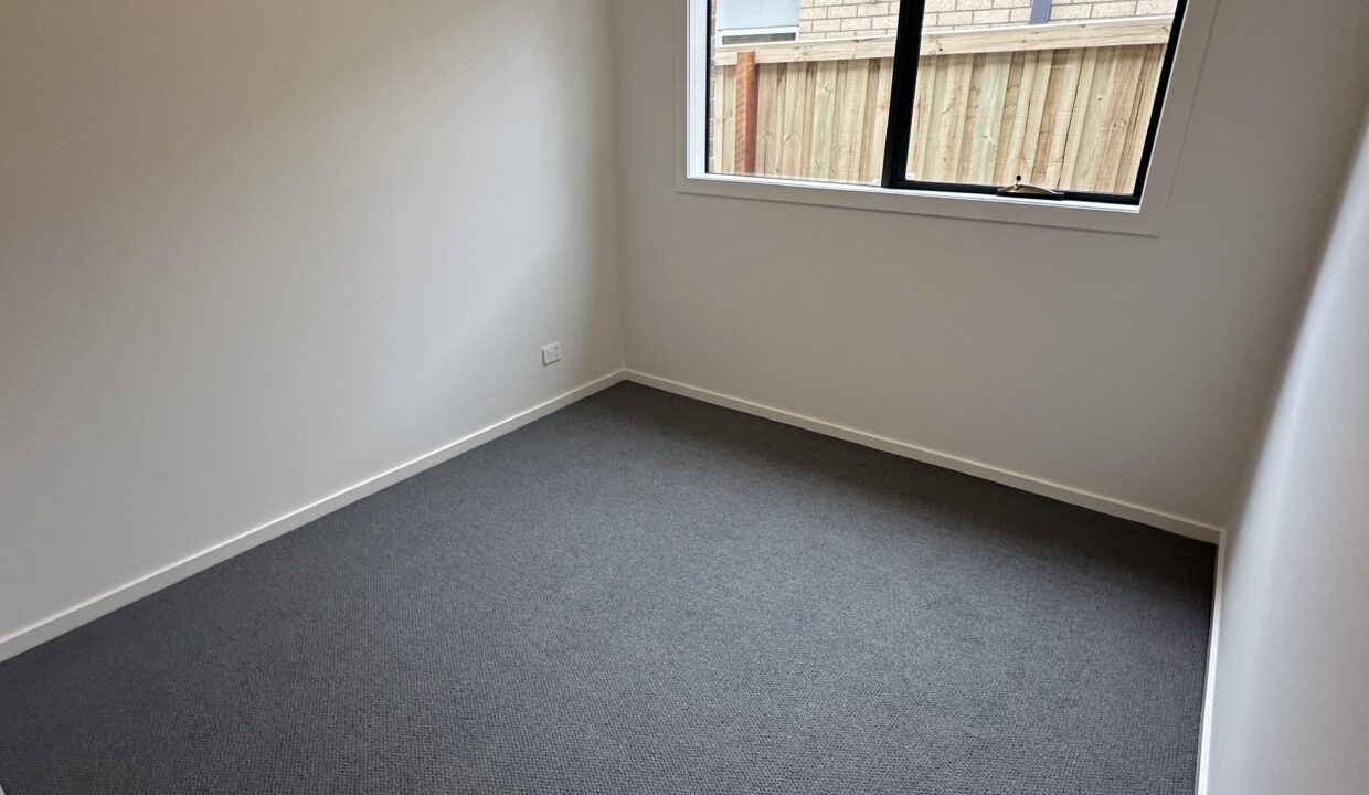 157921341__1754098615-157921341__1754098559-40518-IMG7758