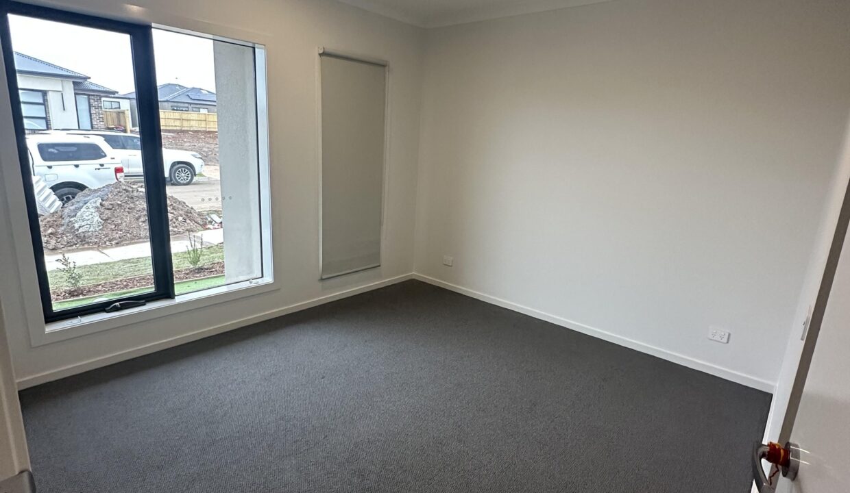 157921347__1754098615-157921347__1754098571-40538-IMG7769