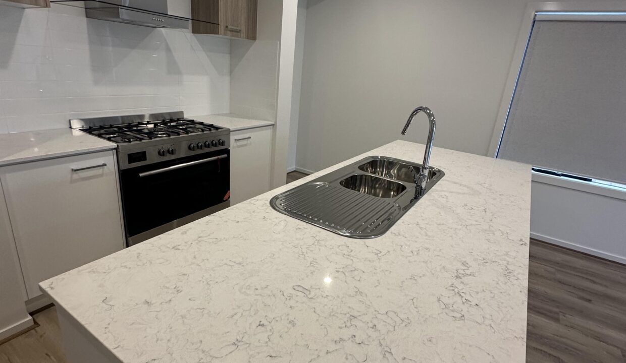 157921354__1754098616-157921354__1754098586-39692-IMG7767