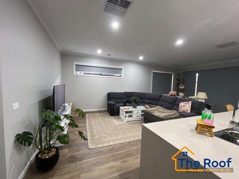 159550183__1755238317-159550183__1755238003-81556-KitchenMealsOverall3of6