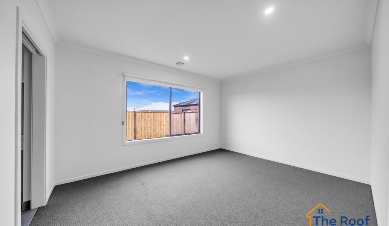 159553682__1755241348-78771-OSMEDIA-52