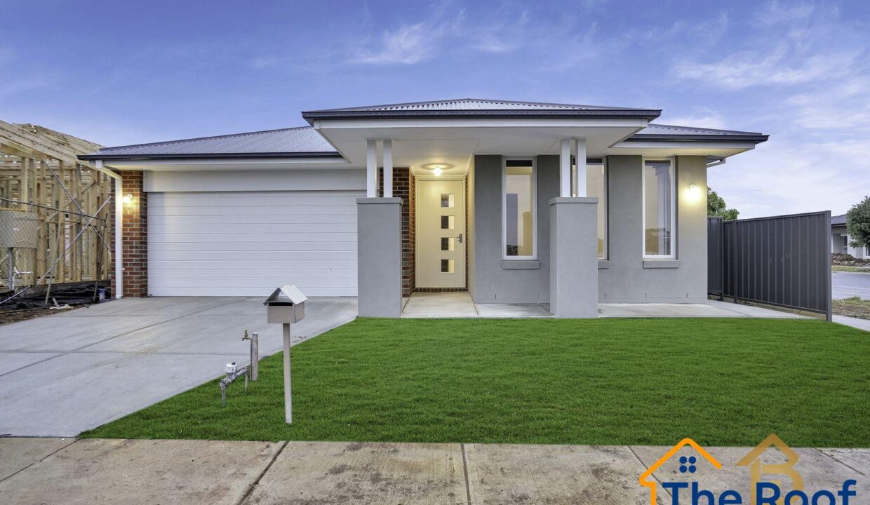 164065986__1758159186-83847644__1709685847-44014-Main