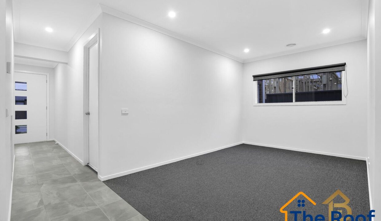 164065987__1758159187-83847625__1709685833-44130-1639943661230330054141-w1800-h12005