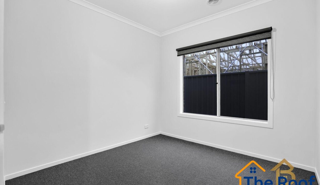 164065988__1758159187-83847619__1709685826-44017-1639943621230330054141-w1800-h12001