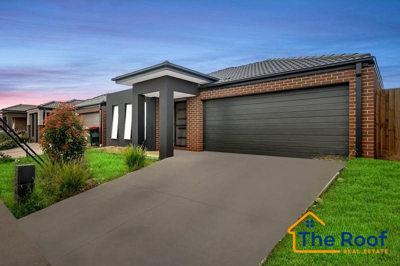 164222607__1759202600-164222607__1758240227-40204-main