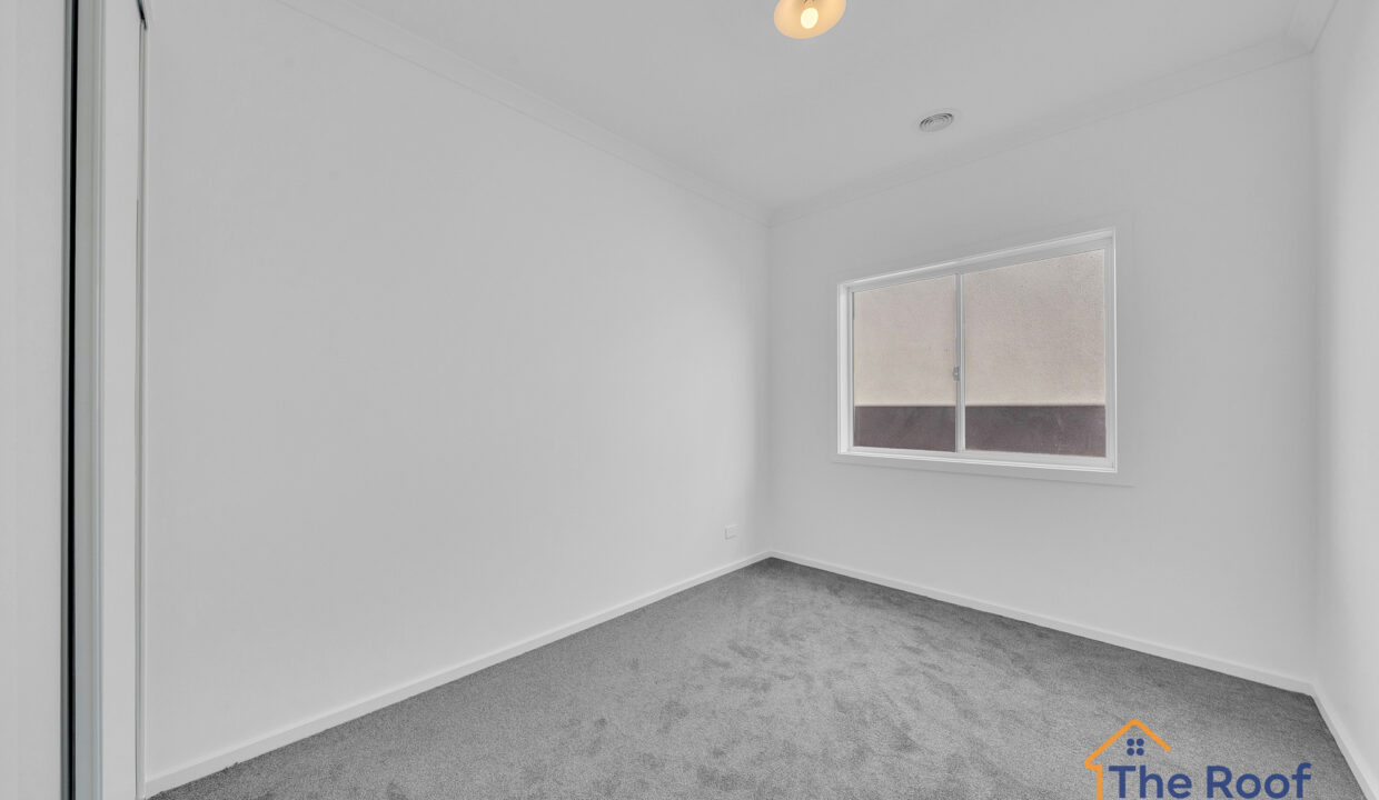 164390709__1758261320-91883-OSMEDIA3