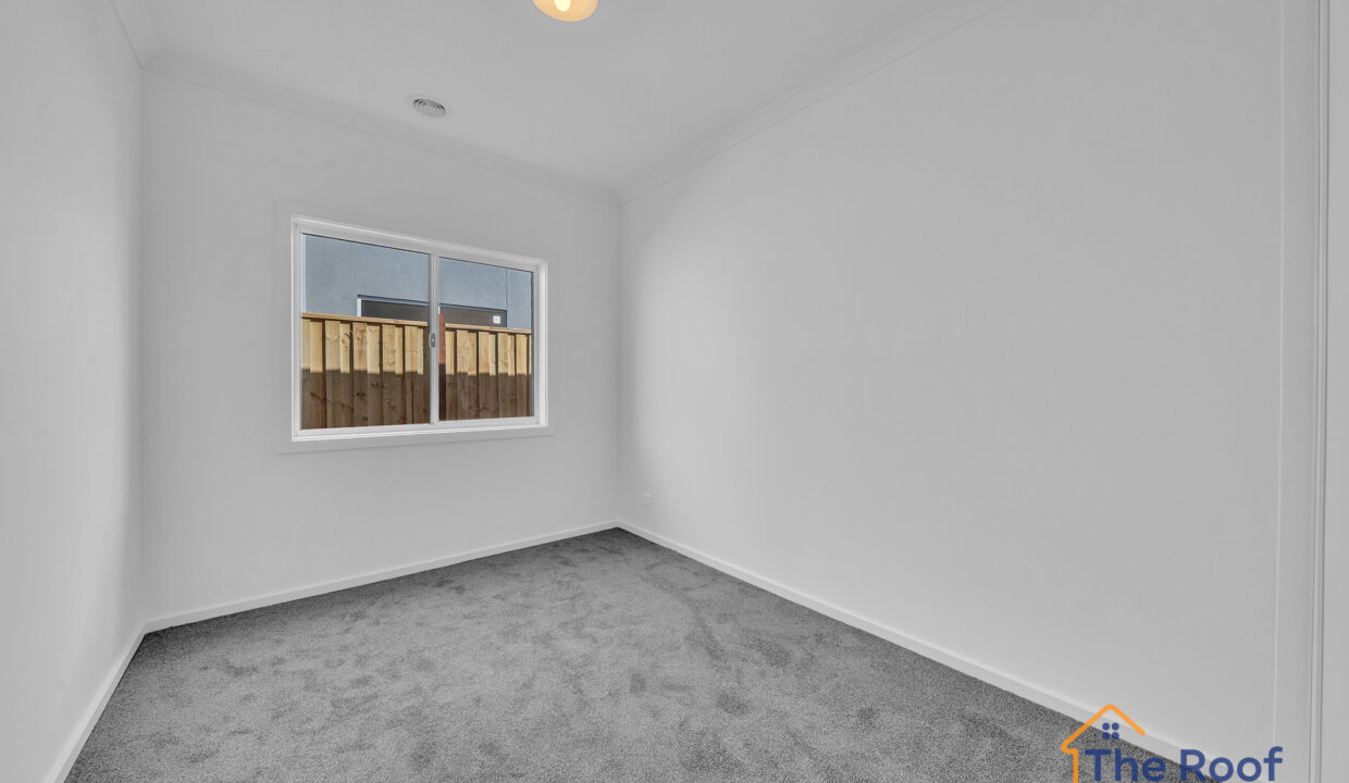 164390713__1758261324-91866-OSMEDIA5