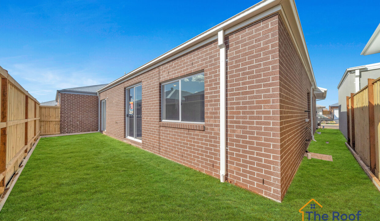 164390724__1758261333-91937-OSMEDIA9Grass