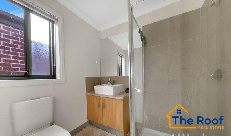 165757479__1759202600-165757479__1759202508-79344-445929761