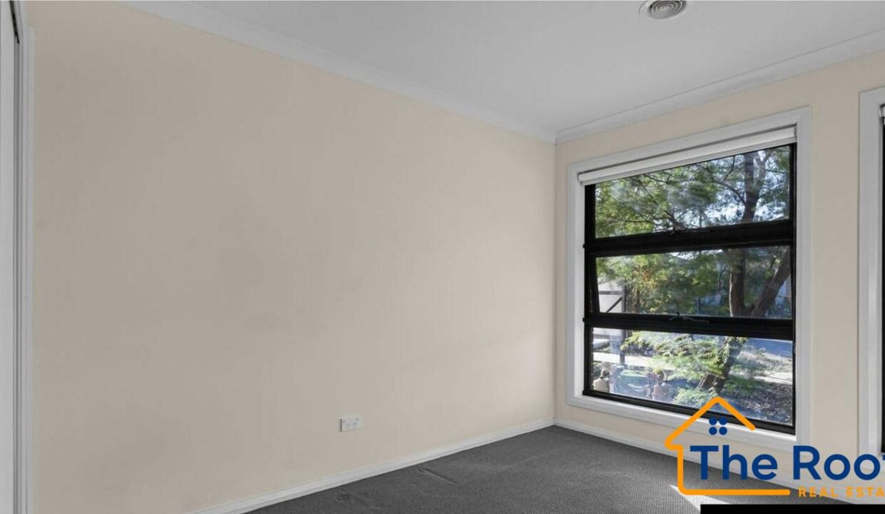 169125084__1761090243-169125084__1761090089-30454-image19