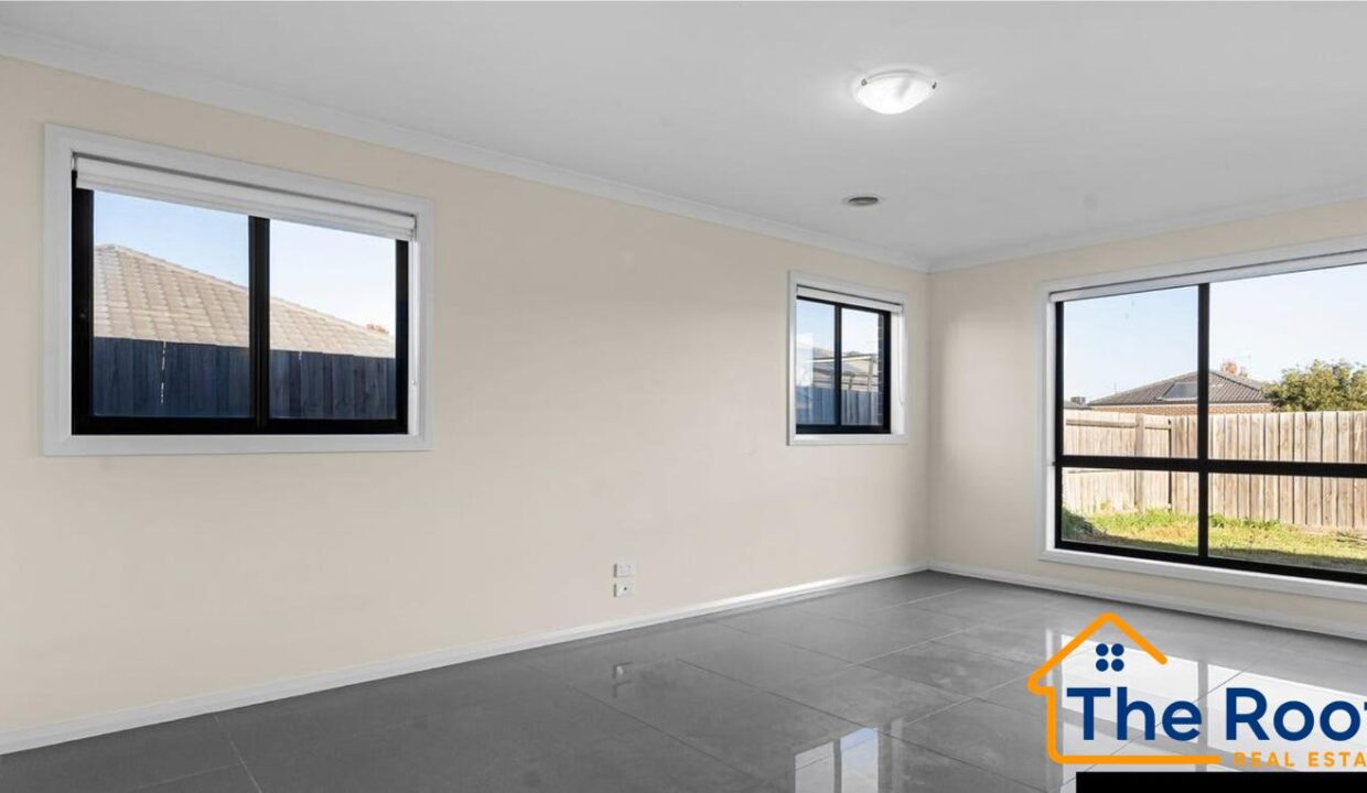 169125480__1761090243-169125480__1761090144-44438-image31