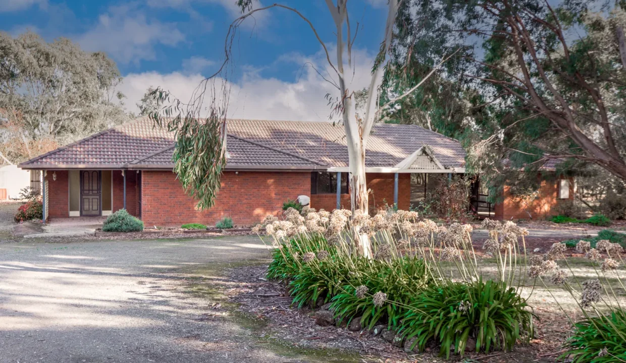 180804704__1766115235-71931-1650246711230606040212-w1600-h1067