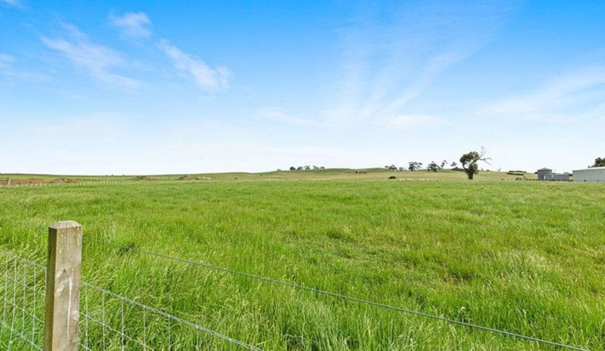 181019581__1766383336-77175-539985222