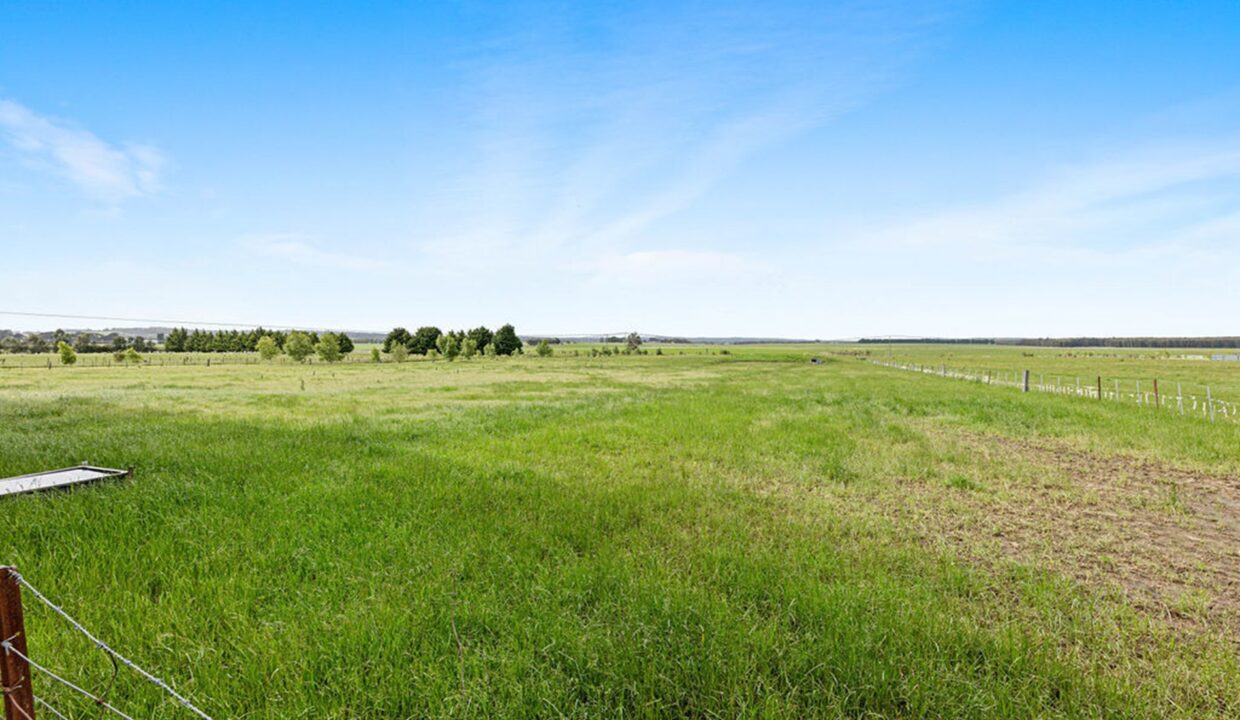 181019583__1766383338-77165-542490800