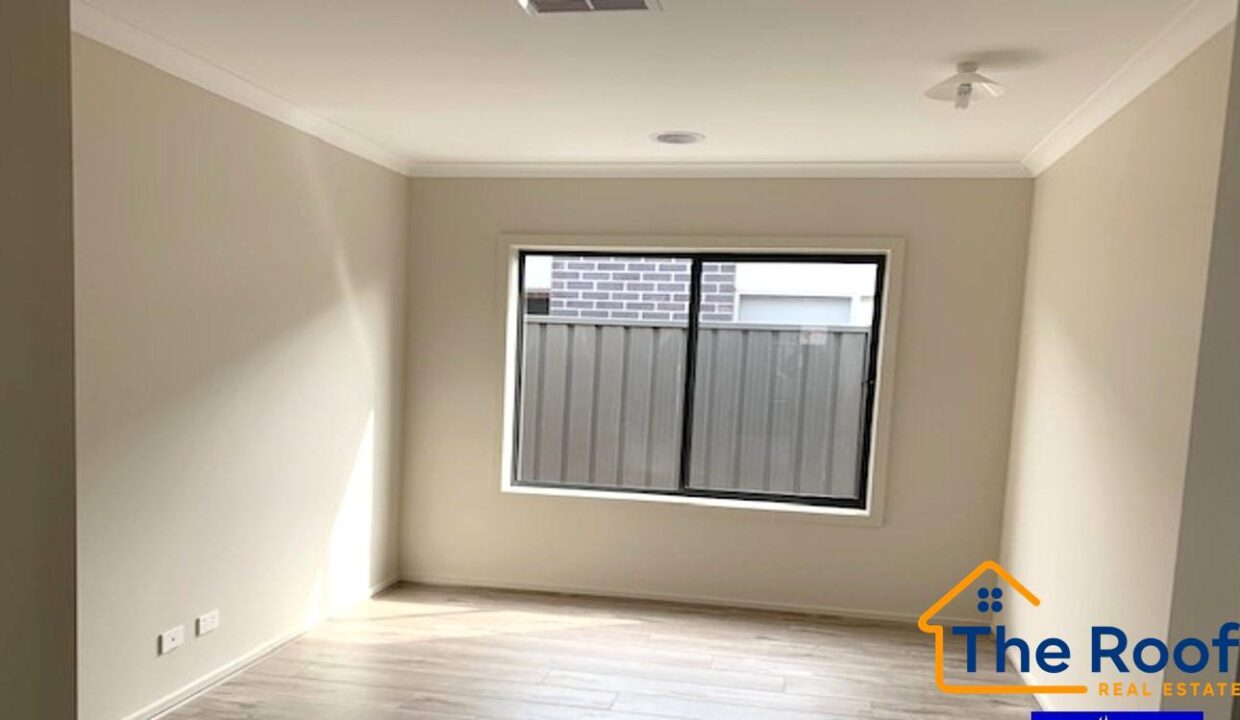 181121443__1766471898-181121443__1766471510-75515-image1014