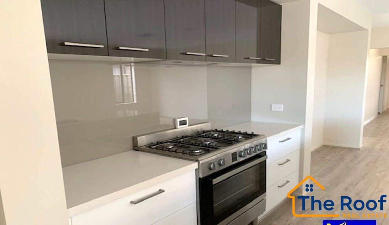 181121452__1766471898-181121452__1766471525-87954-image619