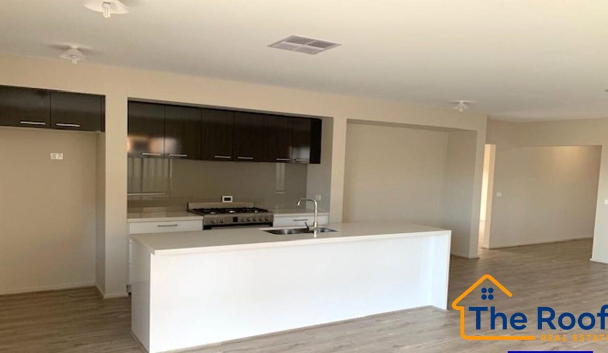 181121453__1766471898-181121453__1766471528-87810-image518