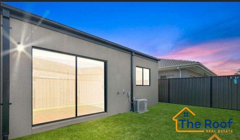 181624485__1767770085-181624413__1767770016-99670-image137