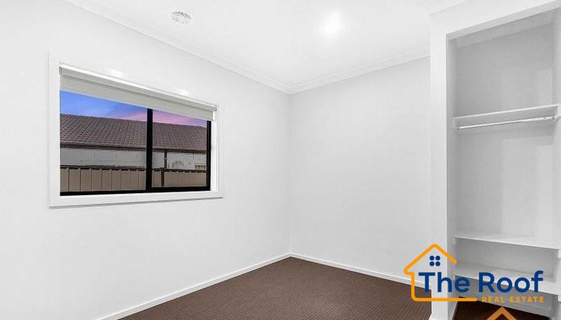 181624489__1767770085-181624446__1767770029-99420-image917