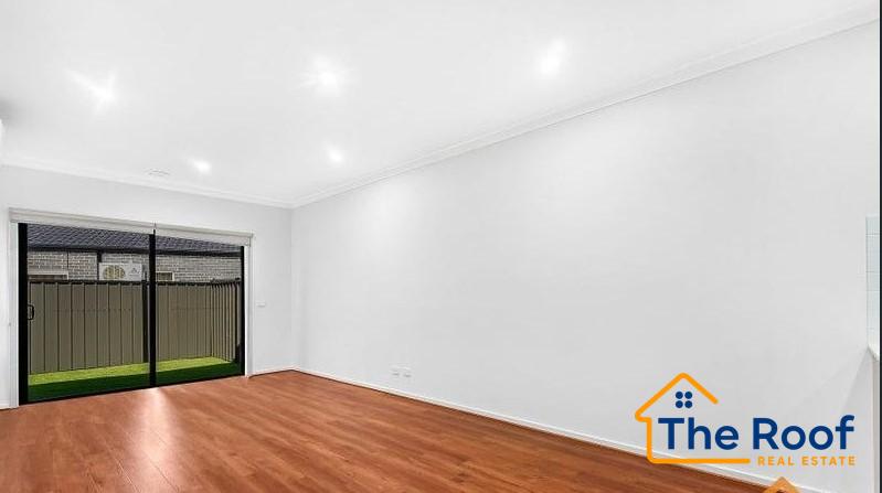 181624491__1767770085-181624477__1767770036-99671-image717