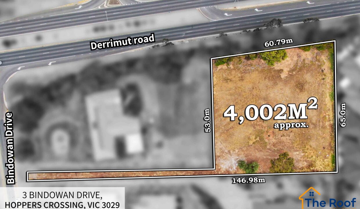 185309765__1770077561-35433-OSmedia2