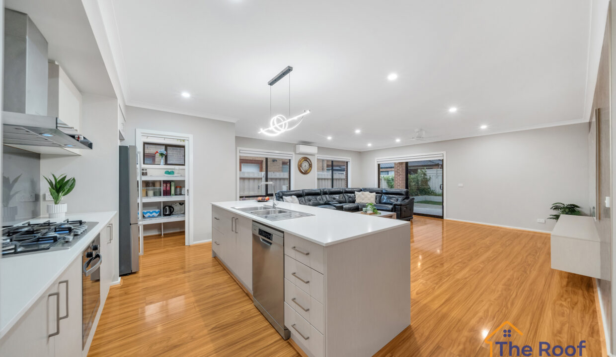 190164530__1772589027-246146-OSMEDIA-6