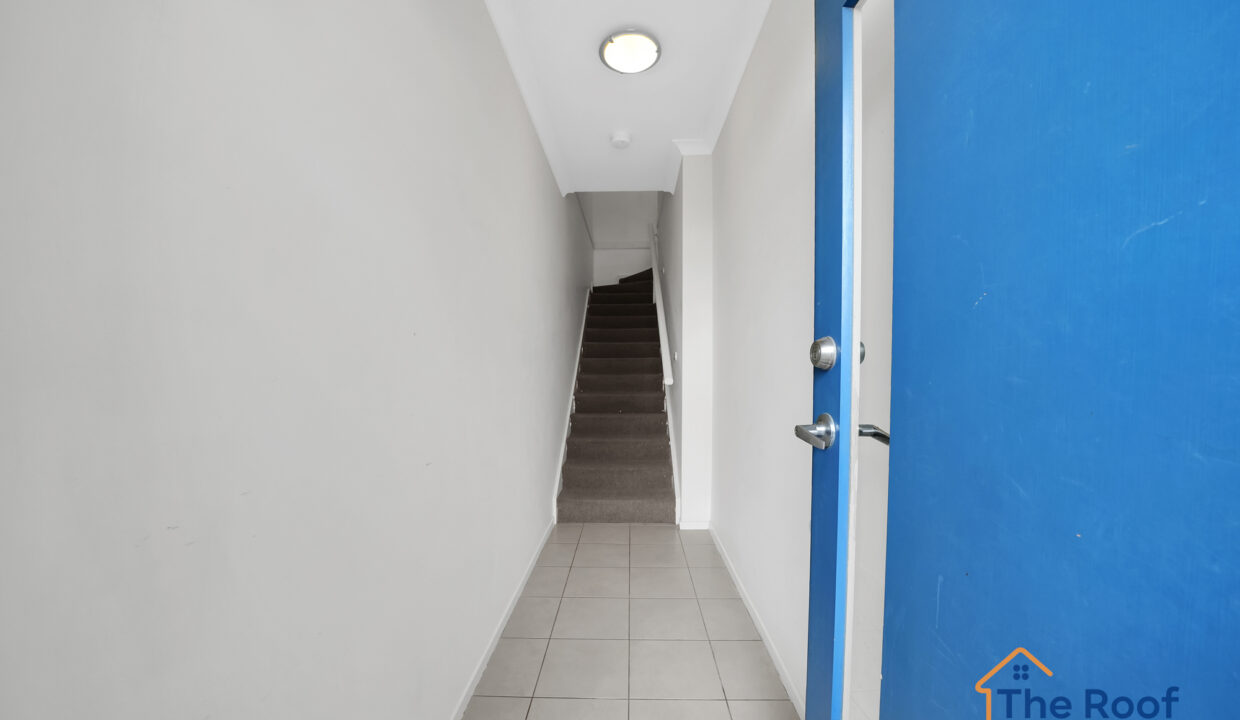 190224718__1772600148-81206-OSMEDIA-17