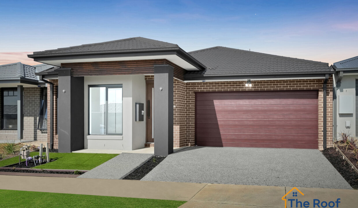 193909742__1774402351-46661-OSMEDIA16GRASS