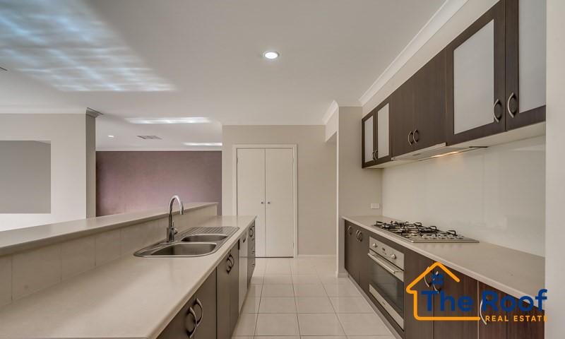 194324099__1774573110-194324099__1774572569-52717-281962979