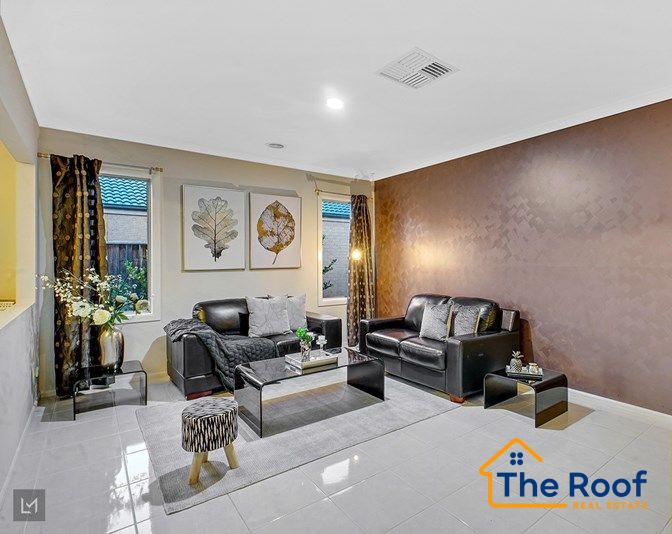 194324233__1774573110-194324233__1774572586-52701-397316241