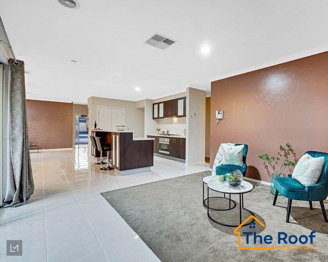 194324312__1774573110-194324312__1774572600-52785-397333954