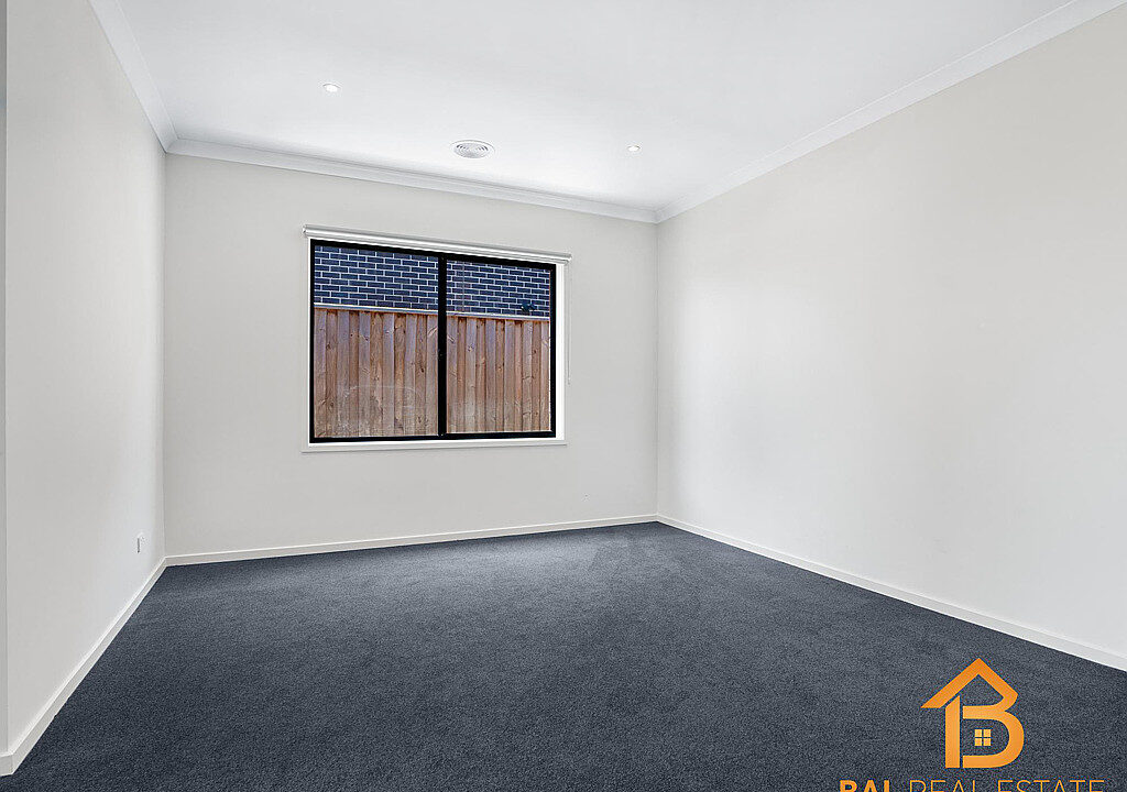 65646342__1683687674-31492-photo6