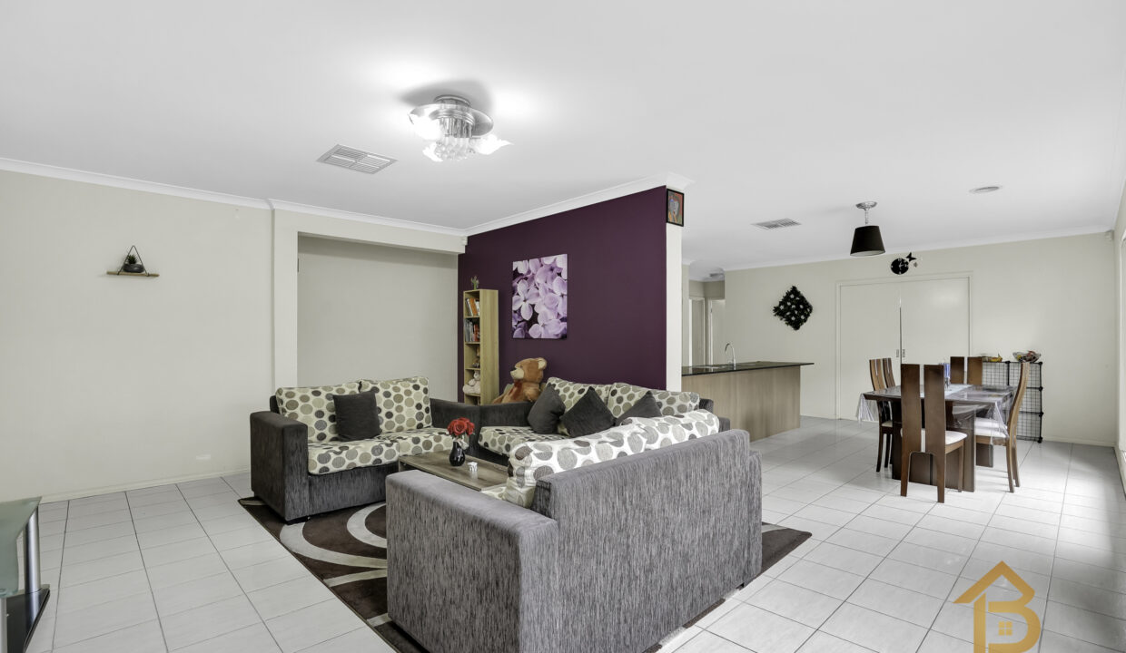 69734146__1692603491-26929-11