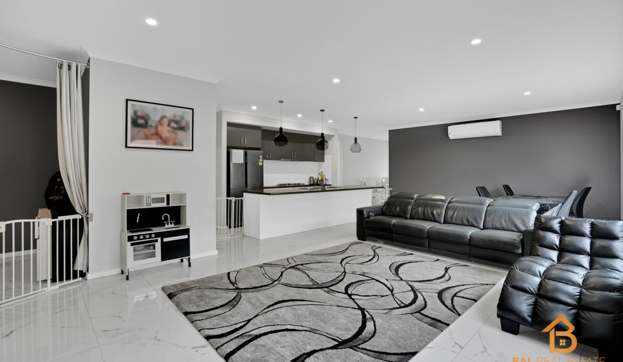 71962145__1695274733-13503-5