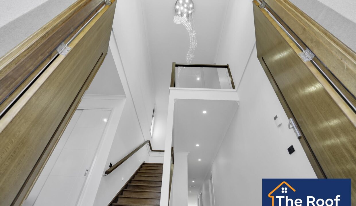 72982748__1722500567-72982748__1696315954-21796-20