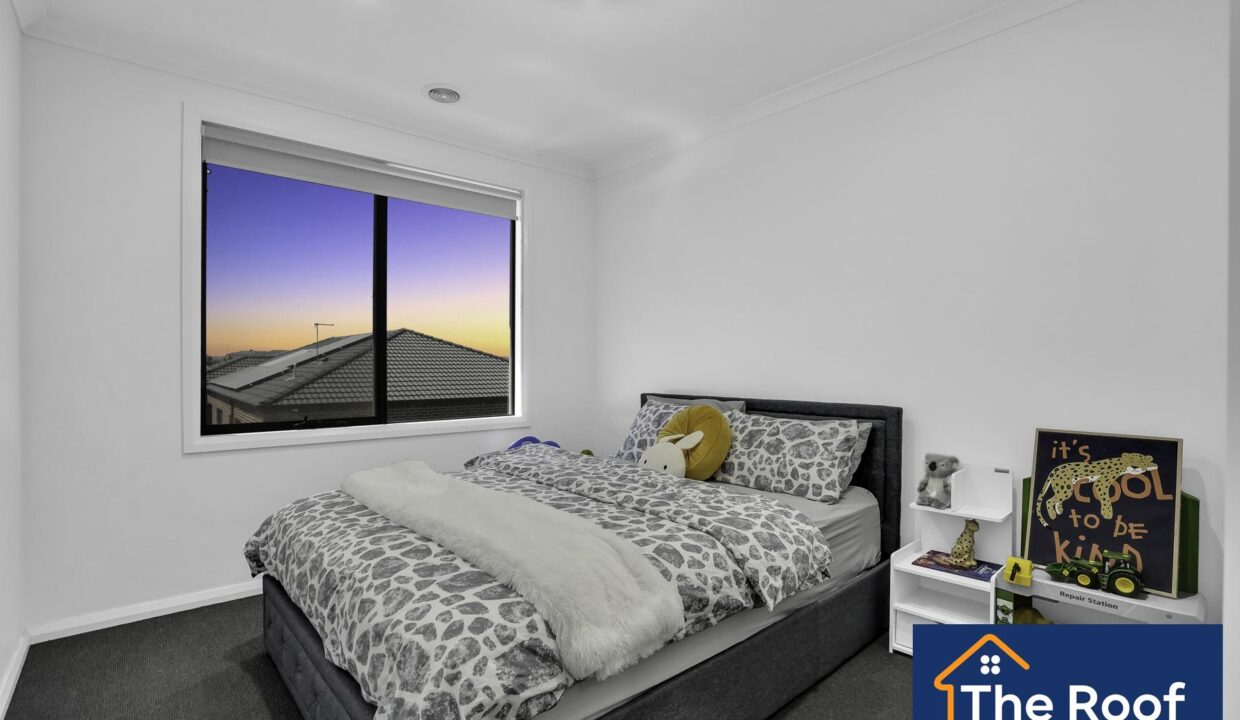 72982794__1722500567-72982794__1696315985-30790-101