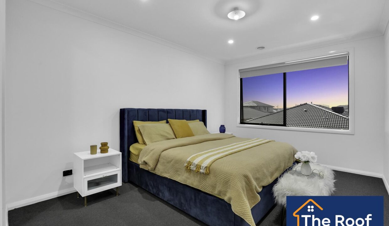 72982798__1722500567-72982798__1696315989-22935-81