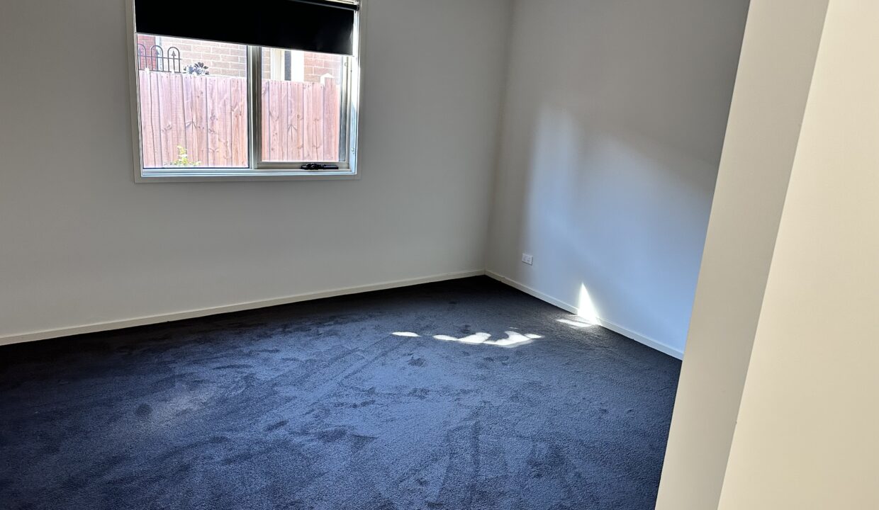 73451616__1696830908-15938-IMG-0555