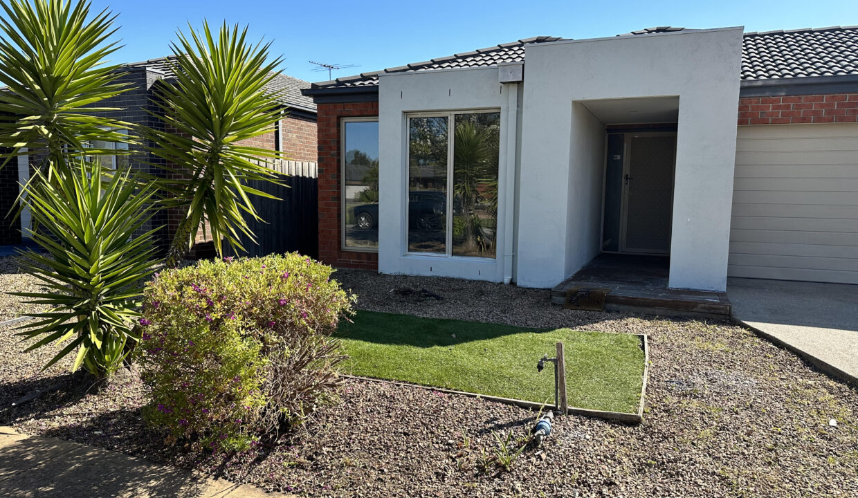 73451630__1696830923-28808-IMG-0546