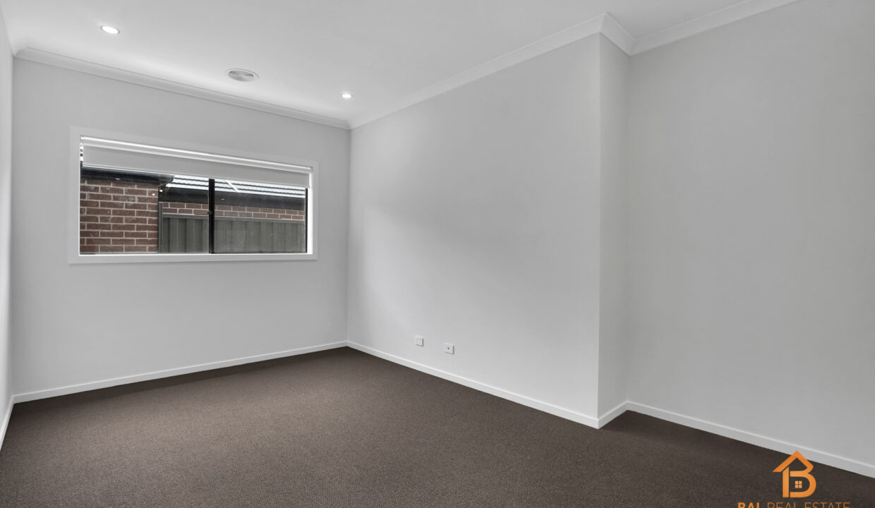 78365381__1702532379-11639-03