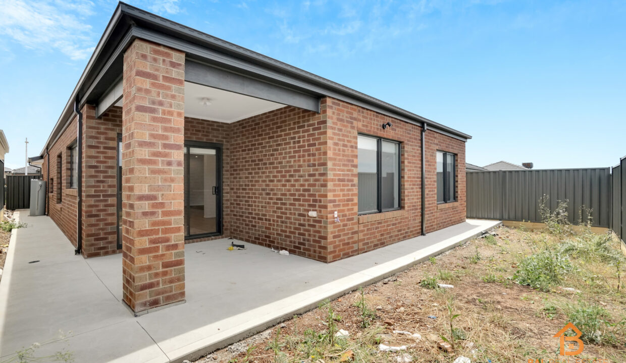 78365391__1702532411-11047-08