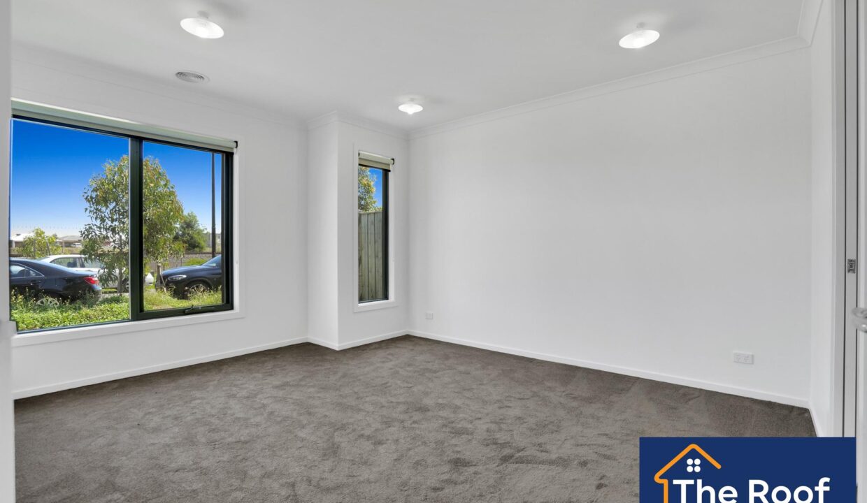 79213328__1722500957-79213328__1705020604-8142-01