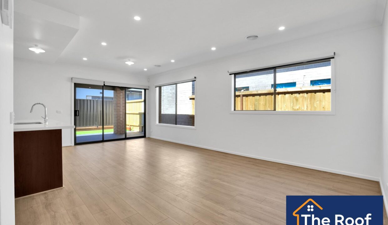 79213353__1722500957-79213353__1705020619-8561-011