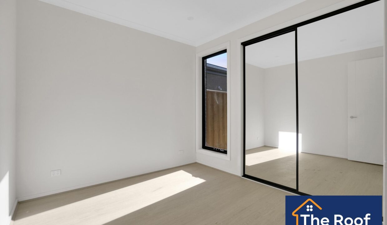 80437750__1722501256-80437750__1706754751-15924-04